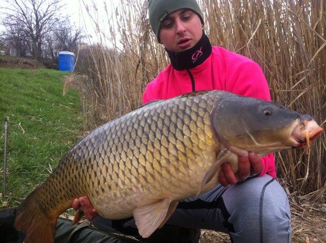 Tâncăbeşti 24 - 26 mar.